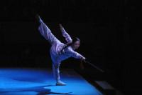 2005 Shaolin Lamentin 1